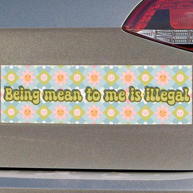 Being Mean to Me is Illegal Car Magnet