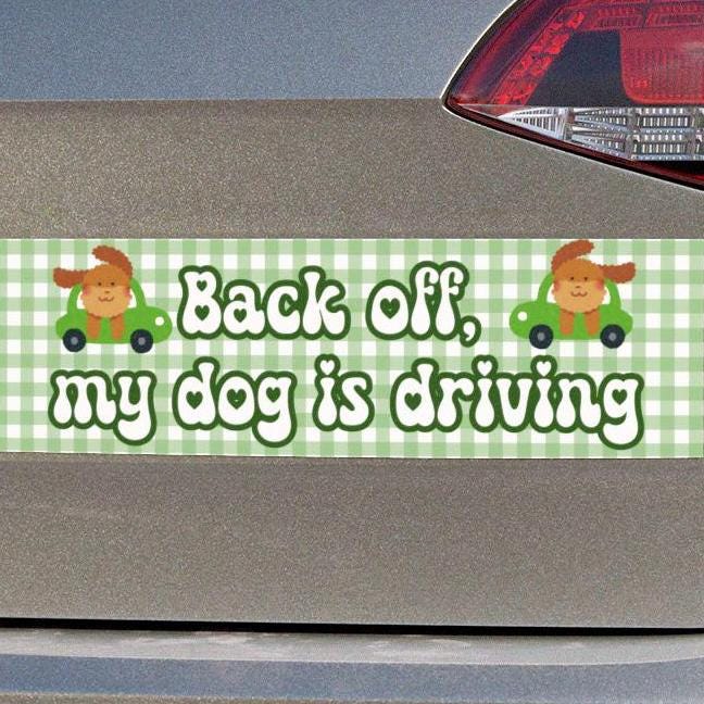 Back Off, My Dog is Driving Car Magnet