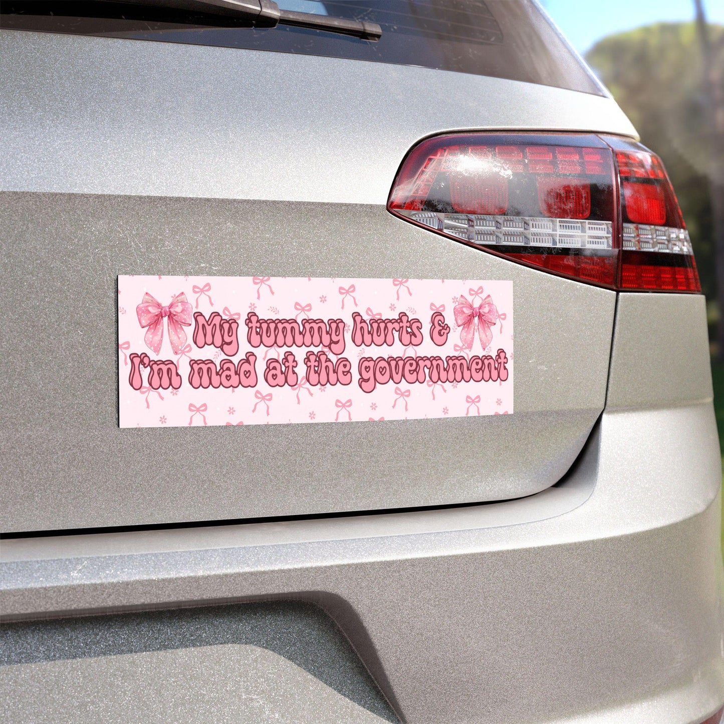 My Tummy Hurts & Mad at the Gov't Car Magnet