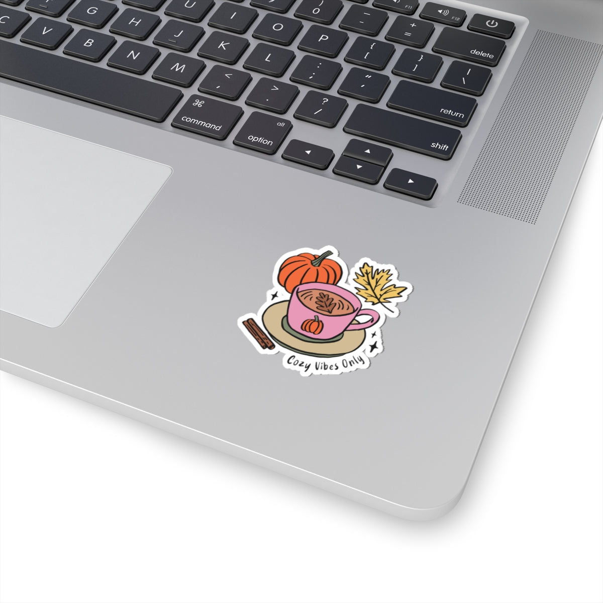 Cozy Vibes Only Sticker, Fall Planner Stickers, Book Lover Gifts, Autumn Sticker, Cozy Accessories, Seasonal Sticker