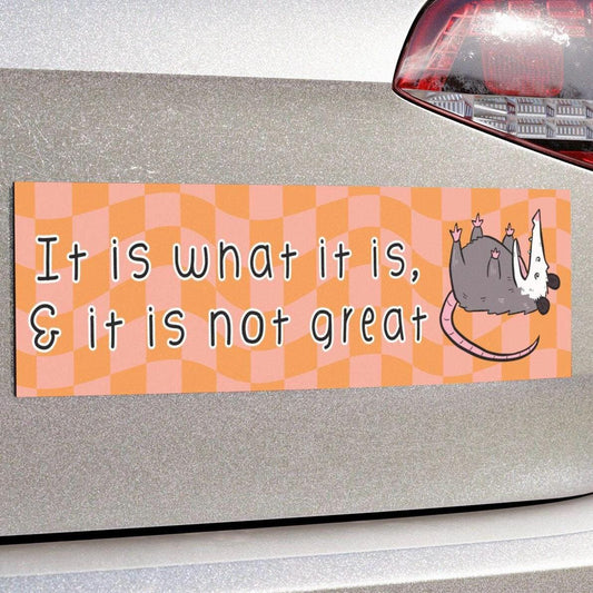 It Is What It Is & It Isn't Great Car Magnet