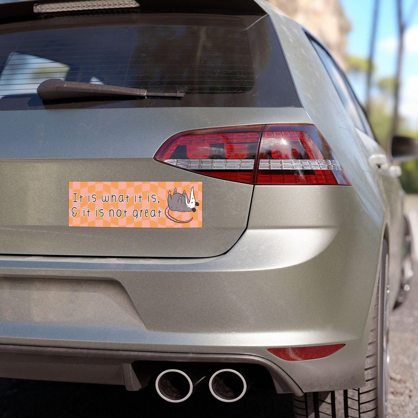 It Is What It Is & It Isn't Great Car Magnet
